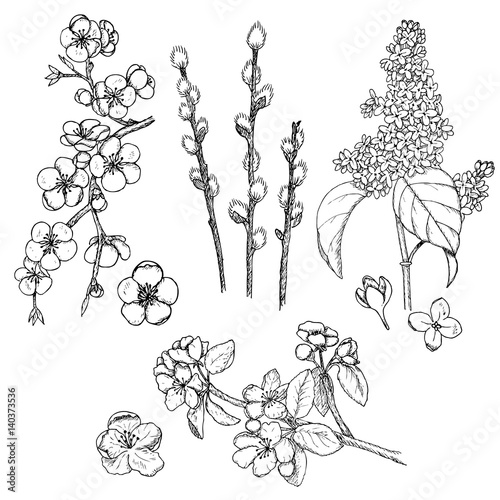 Hand Drawn Spring Natural Collection