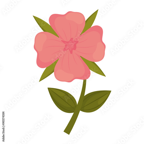 geranium flower stem leaves vector illustration eps 10