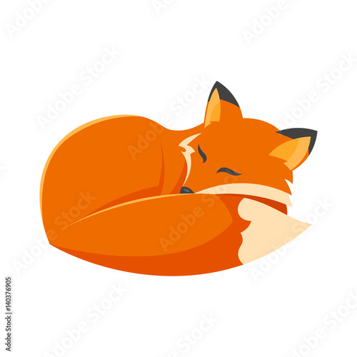 Vector cartoon style illustration of sleeping fox.