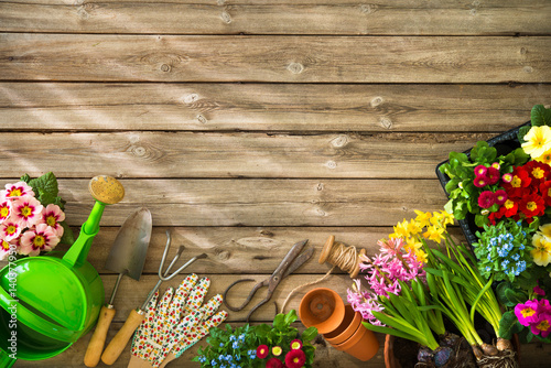 Fototapeta Naklejka Na Ścianę i Meble -  Gardening
