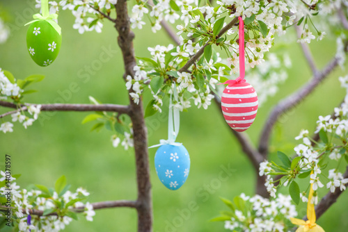 Several Easter colored eggs hanging on a tree branch color sunny spring day.