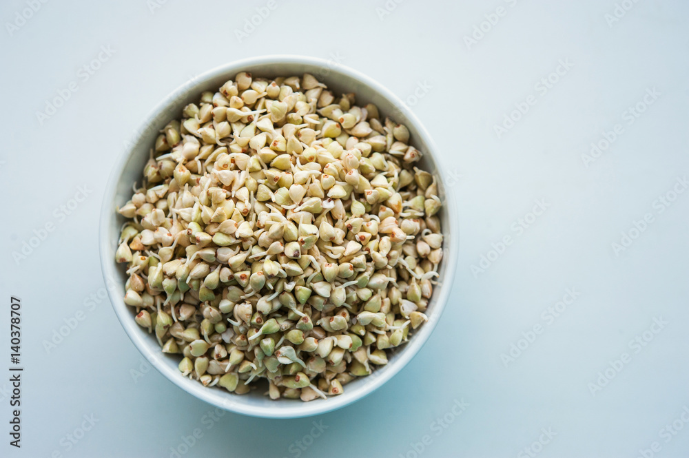 Green sprouted buckwheat in a white bowl