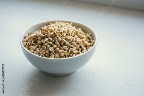 Green sprouted buckwheat in a white bowl