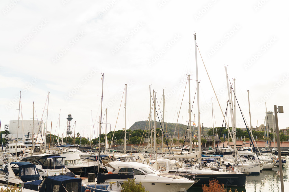 Parked yachts in port