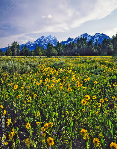 Grand Teton in Wyoming