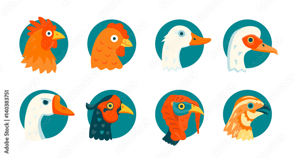 Naklejka Zestaw ikon, hodowlanych ptaków domowych ilustracje wektorowe