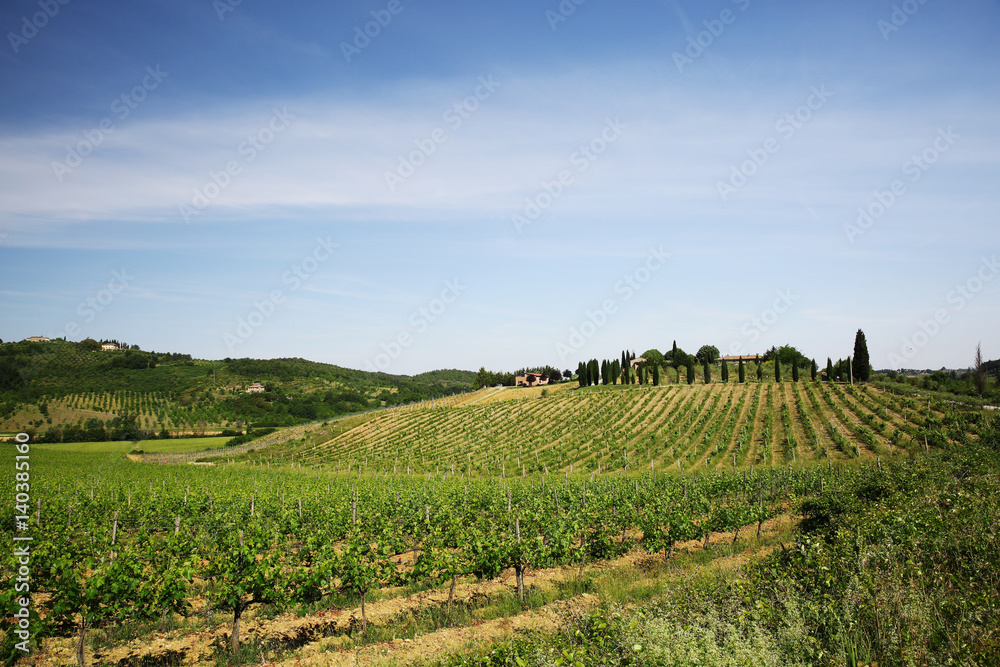 Fototapeta premium tuscany