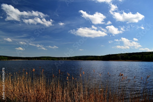 view of the pond from the dam with reeds in the foreground