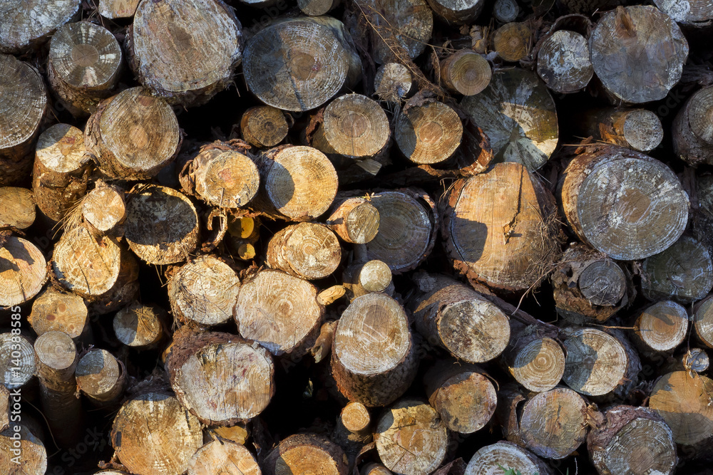 Background image of a pile of logs with a beam of light from sunrise. Background image of a pile of logs with a beam of light from sunrise.
