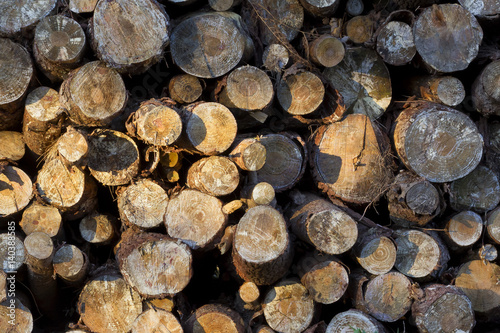 Background image of a pile of logs with a beam of light from sunrise.