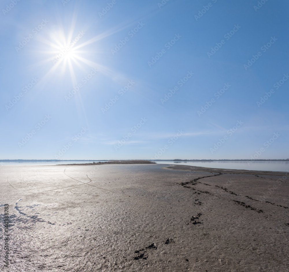 Obraz premium wet dirty swamp under a sparkle sun