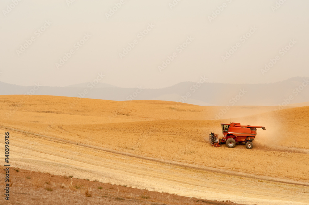 Fototapeta premium Combine harvesting crops on Palouse Hills in Washington state 