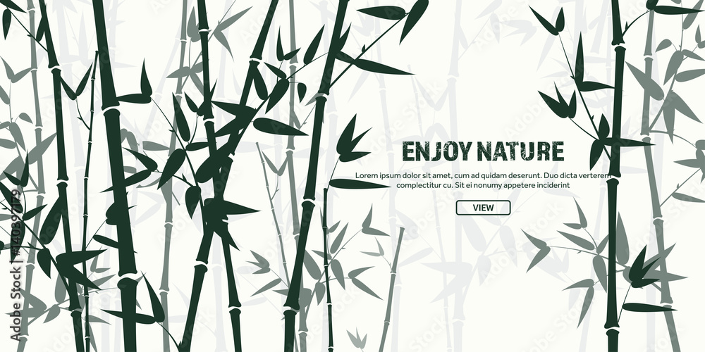 Bamboo forest set. Nature. Japan., China. Plant. Green tree with leaves. Rainforest in Asia.