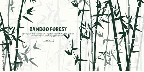 Fototapeta Zestaw bambusowy las. Natura. Japonia., Chiny. Roślina. Zielone drzewo z liśćmi. Las deszczowy w Azji.