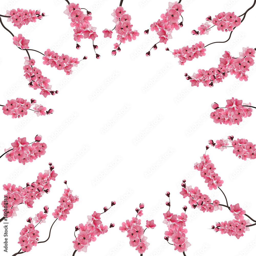 Branches with pink cherry blossoms. Buds. Sakura. Centered advertising space, text ads. Isolated on white background. illustration