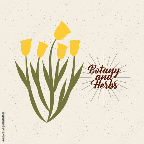 cute flower icon. botany and herbs concept. colorful design. vector illustration