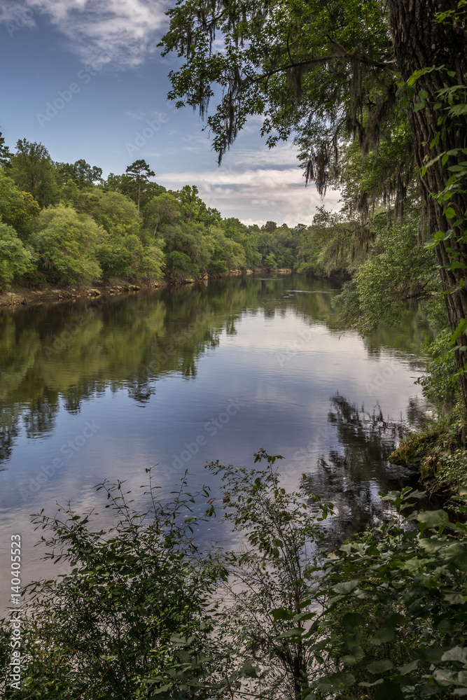 Suwannee River Florida