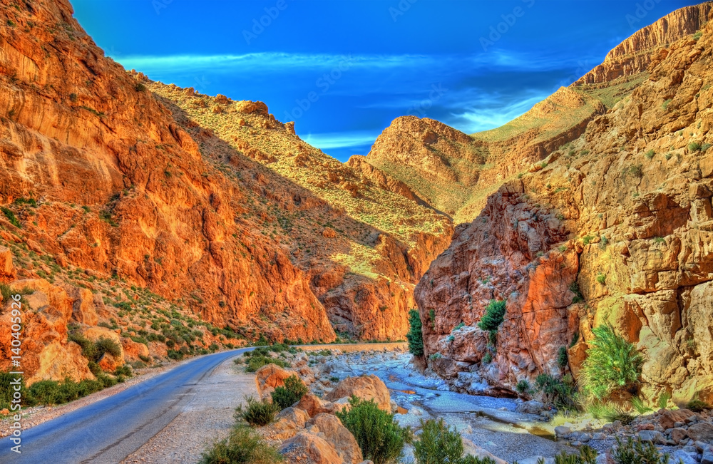 Fototapeta premium Todgha Gorge, a canyon in the Atlas Mountains. Morocco