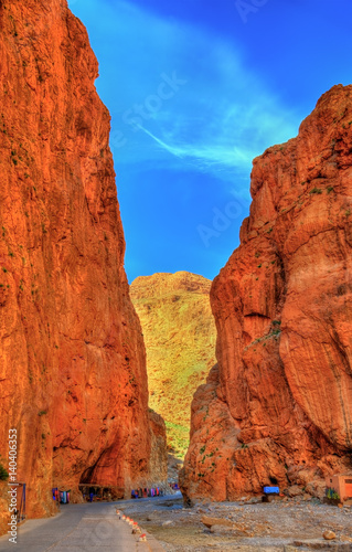 Todgha Gorge, a canyon in the Atlas Mountains. Morocco © Leonid Andronov