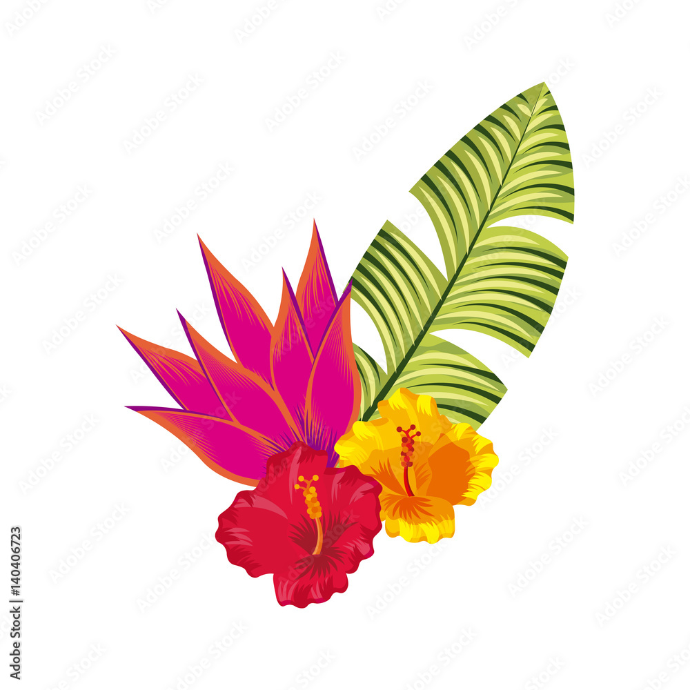 tropical flowers and leaf over white background. colorful design. vector illustration