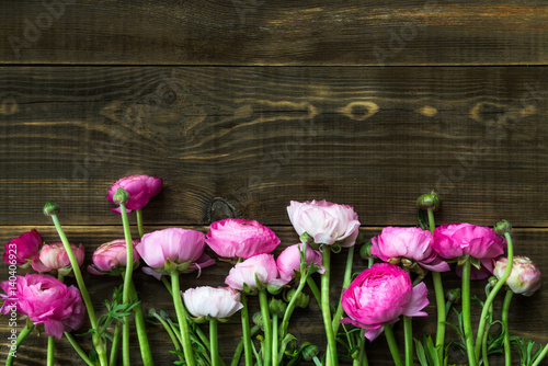 Fototapeta Naklejka Na Ścianę i Meble -  Bouquet of Pink Ranunculus, Buttercup Flowers