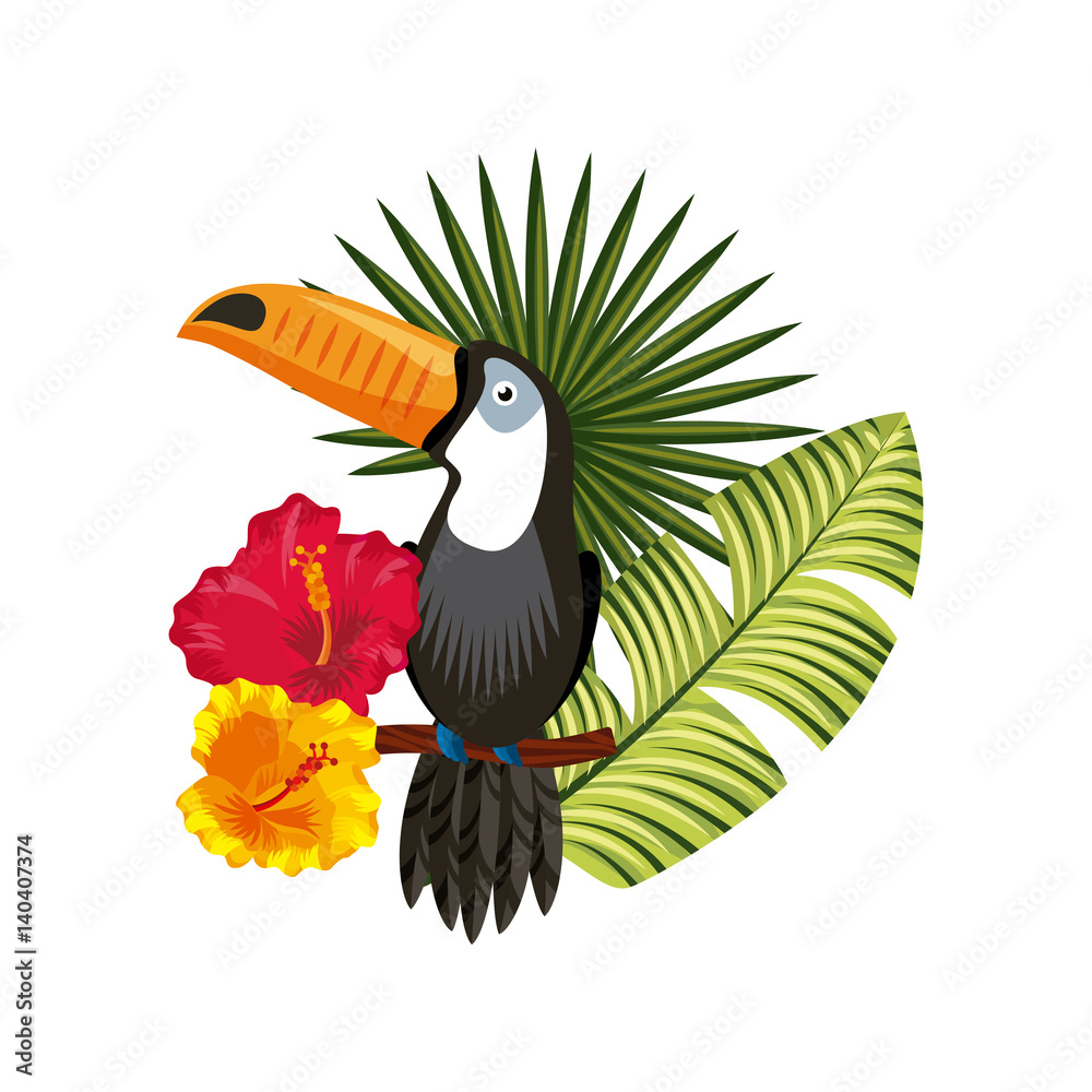 Fototapeta premium toucan with tropical flowers and leaves over white background. colorful design. vector illustration