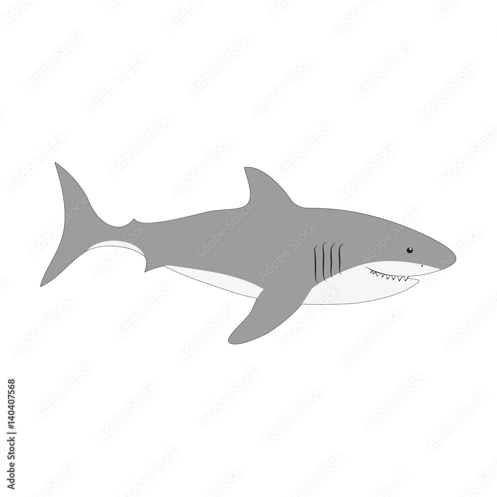 Cute white shark vector illustration isolated on white Cute white shark vector illustration isolated on white