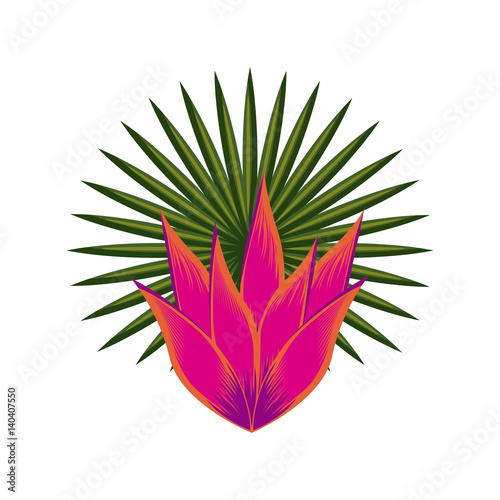 tropical lef and flower over white background. colorful design. vector illustration