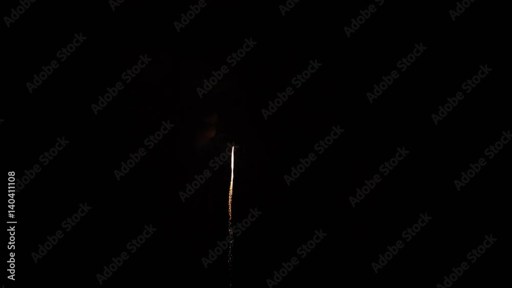 the fireworks in the night sky