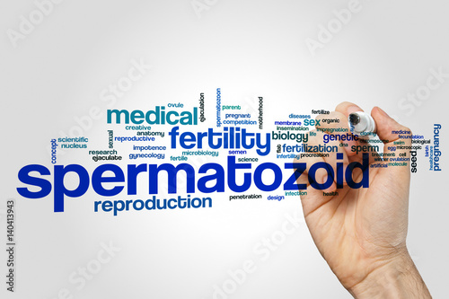 Spermatozoid word cloud