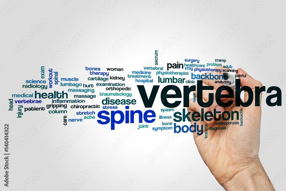 Vertebra word cloud Vertebra word cloud