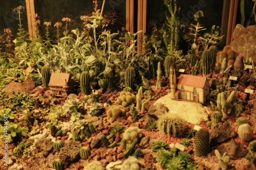 flower garden