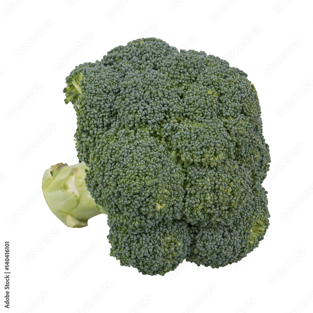 Fresh brocoli on a white background Fresh brocoli on a white background