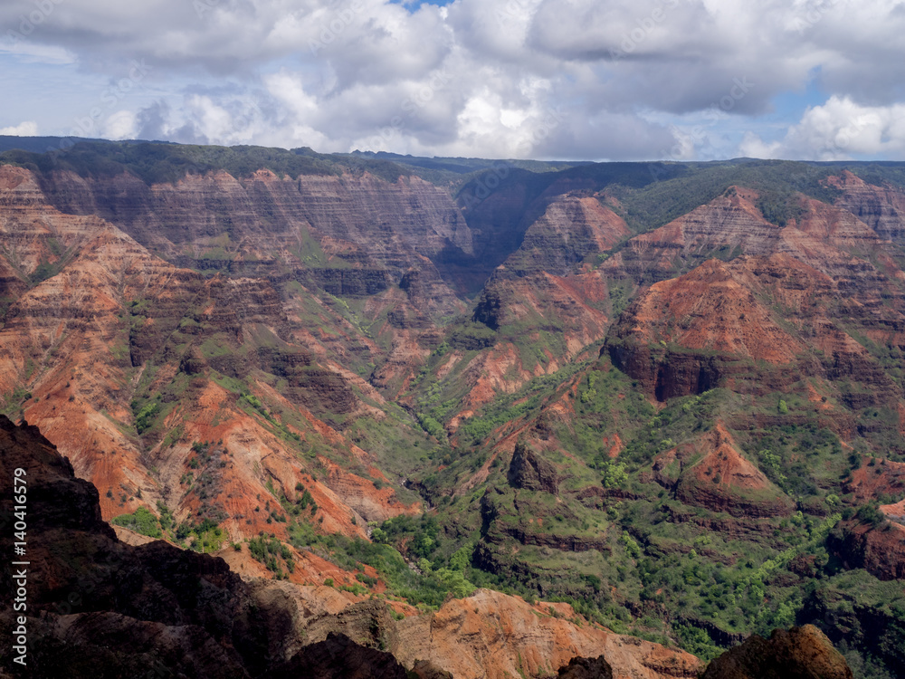 View into Waimea Canyon island of Kauai in the Hawaiian islands.