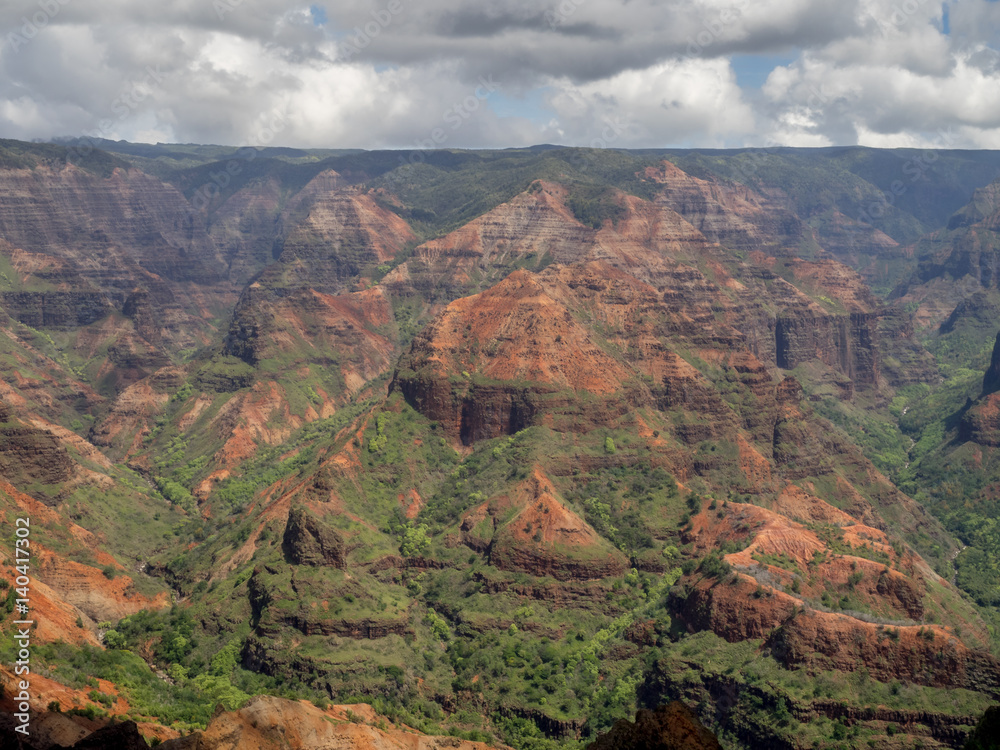 View into Waimea Canyon island of Kauai in the Hawaiian islands.