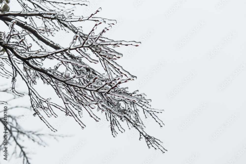 Ice Storm, Icing , Icicle Melting Ice Storm, Icing , Icicle Melting
