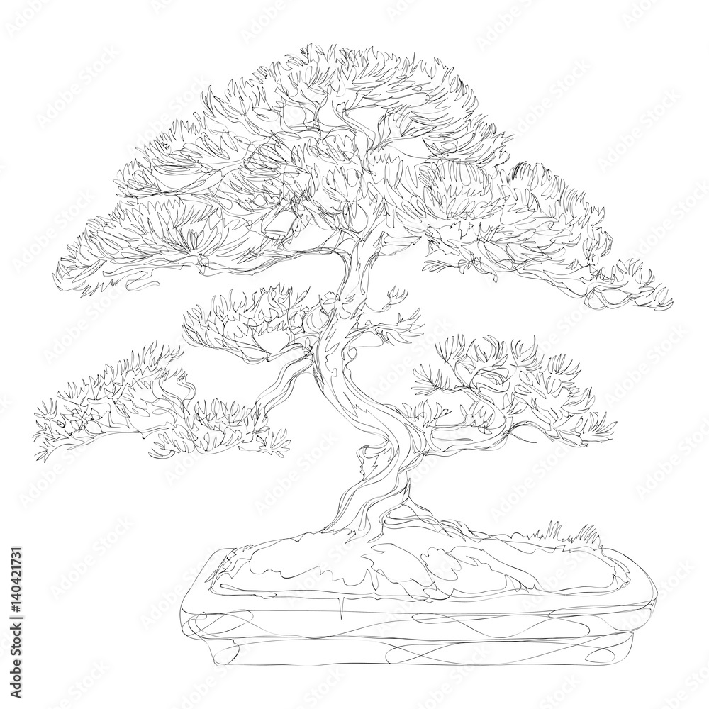 beautiful bonsai traditional line art continuous line vector drawing
