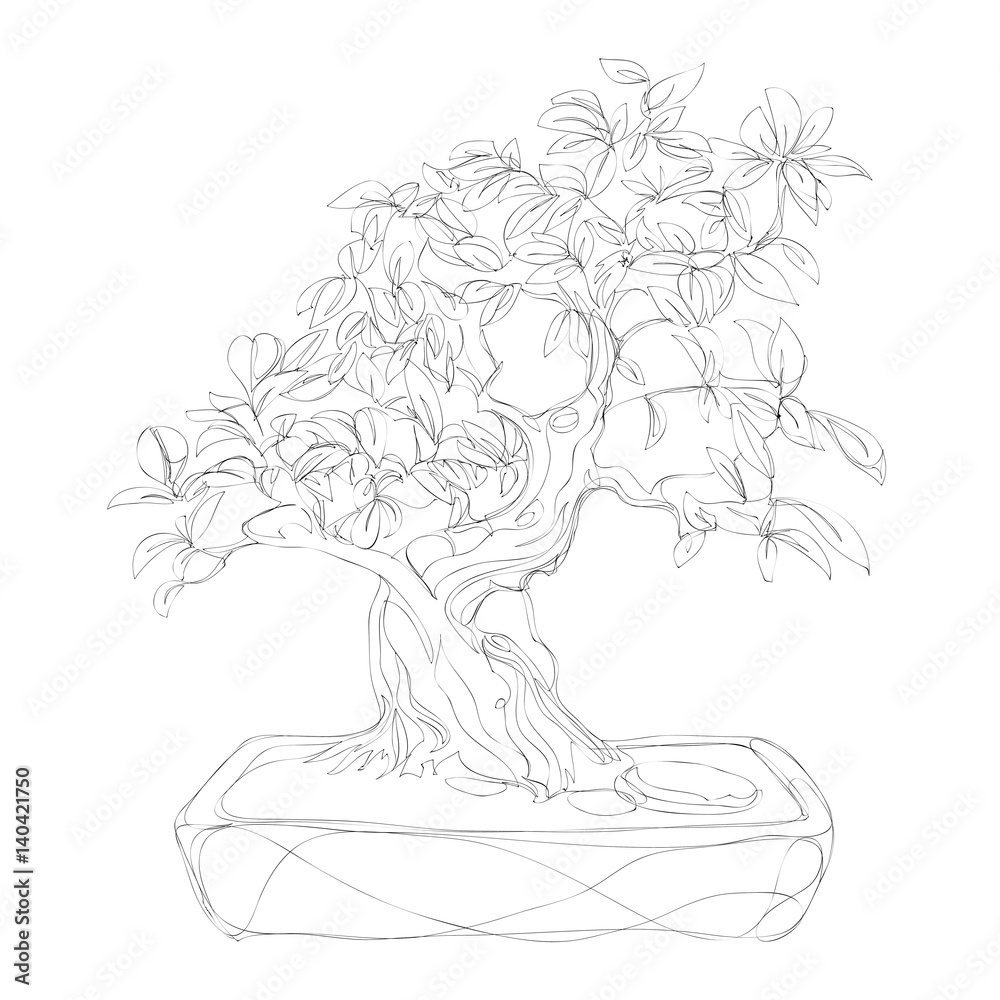 beautiful bonsai traditional line art continuous line vector drawing beautiful bonsai traditional line art continuous line vector drawing