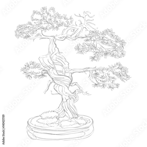 beautiful bonsai traditional line art continuous line vector drawing