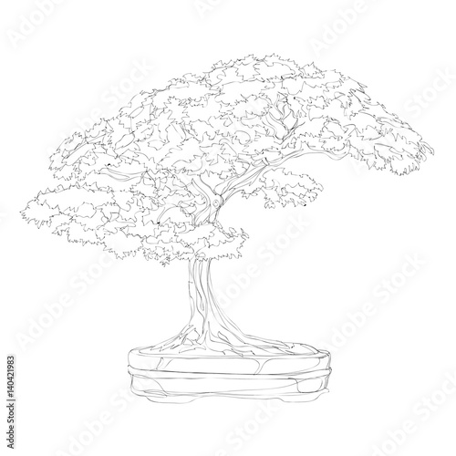 beautiful bonsai traditional line art continuous line vector drawing