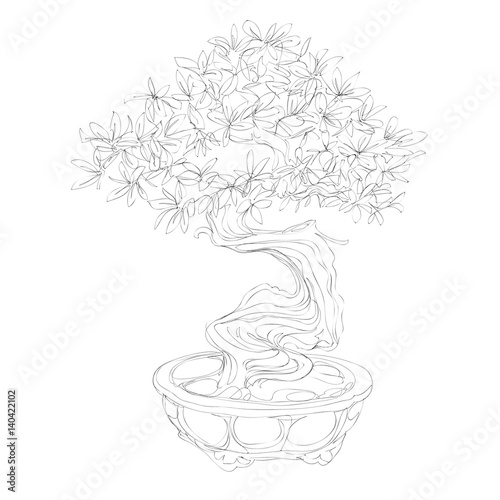 beautiful bonsai traditional line art continuous line vector drawing