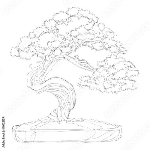 beautiful bonsai traditional line art continuous line vector drawing