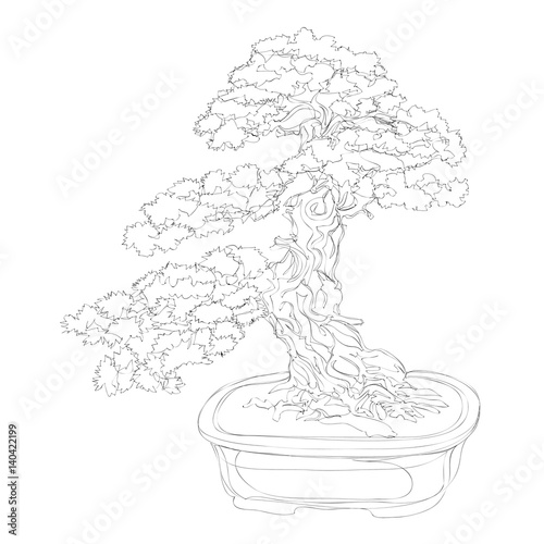beautiful bonsai traditional line art continuous line vector drawing