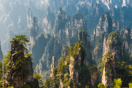mountain landscape of Zhangjiajie, a national park in China known for its surreal scenery of rock formations. photo