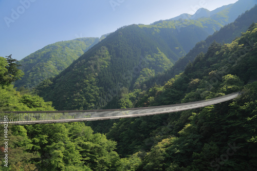 Scenic view of bridge against mountain