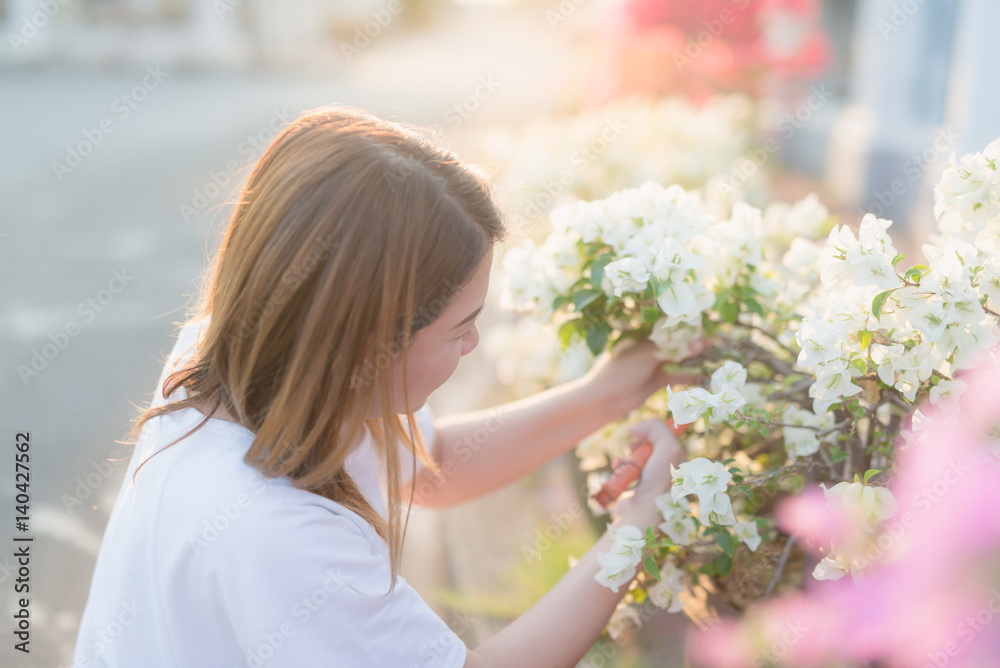 Naklejka premium oman pruning flowers and plants
