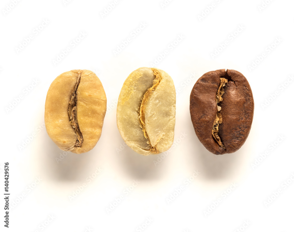 top view of white, green and brown coffee bean top view of white, green and brown coffee bean