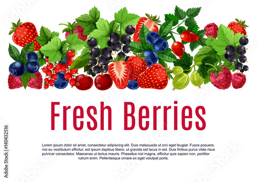 Fresh berries and fruits vector poster or banner