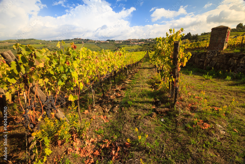 Chianti vineyard landscape in autumn, Tuscany, Italy