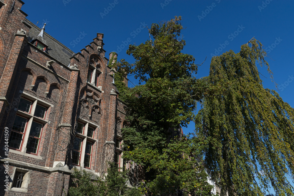 Fototapeta premium Bruges (Brugge) - Flandres, Belgique